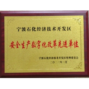 安全生產數字化改革先進單位